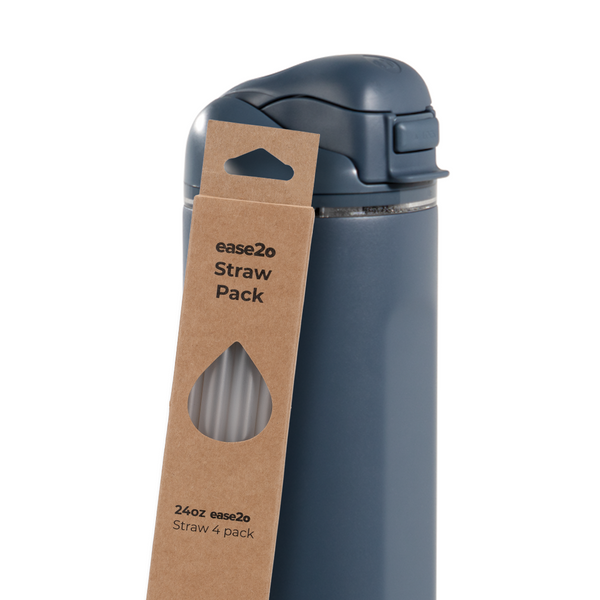 Ease2o Straws 4 Pack 24oz LIKU